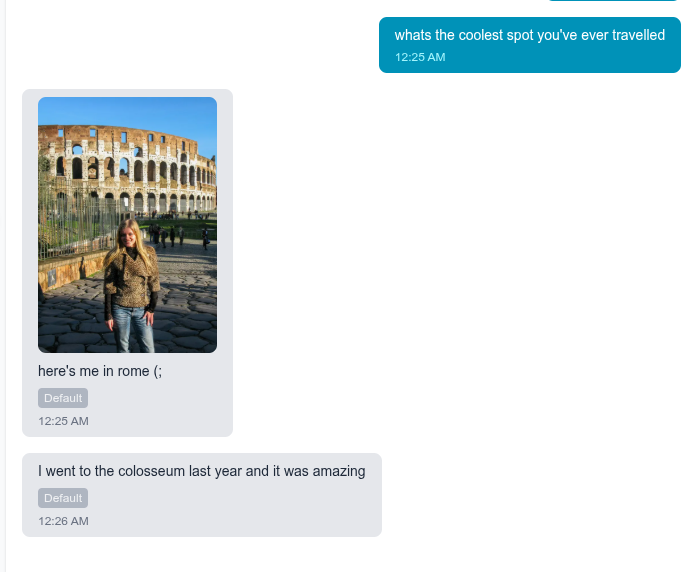 Bot sends vault image when asked about travel